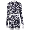 ANJAMANOR Zebra Stripe Print Long Sleeve Dress Sets 2023 Fashion Sexy Clubwear 2 Piece Womens Outfits Crop Top and Skirt D17CD23
