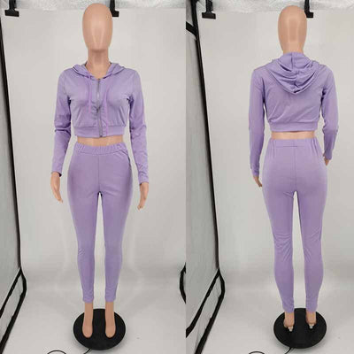 Streetwear Fall 2 Piece Set Women Hoodies Tracksuit Sweatsuit Lounge Matching Set Outfits Sport Active Wear Women Sweat Suit Set